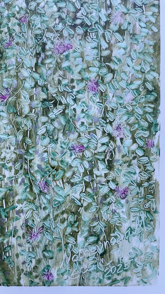 DROSANTHEMUM FLORIBUNDUM