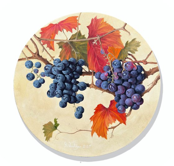 Autumn Grapes 2025