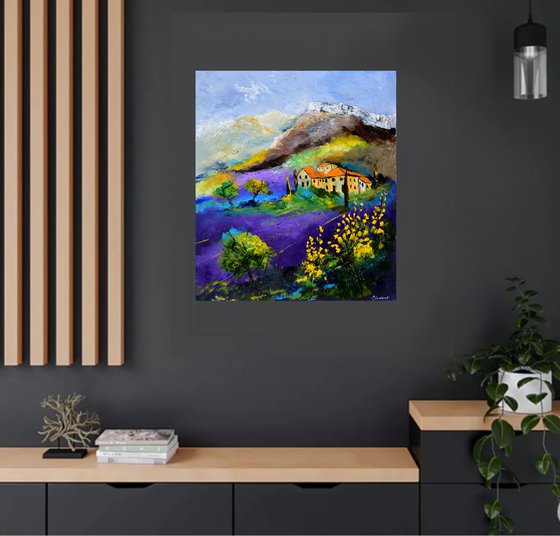 Lavender in Provence 7823