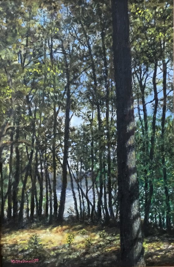 WOODS IN CHERRY PARK (SOLD)