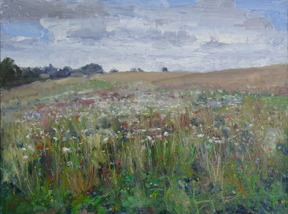 Summer Flowers, the Cotswolds