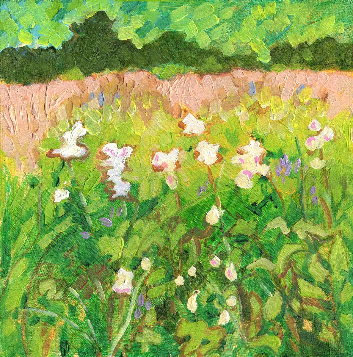 Meadowsweet No 1, Mini Landscape by Mary Kemp