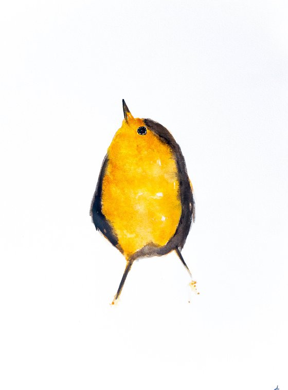 Bird