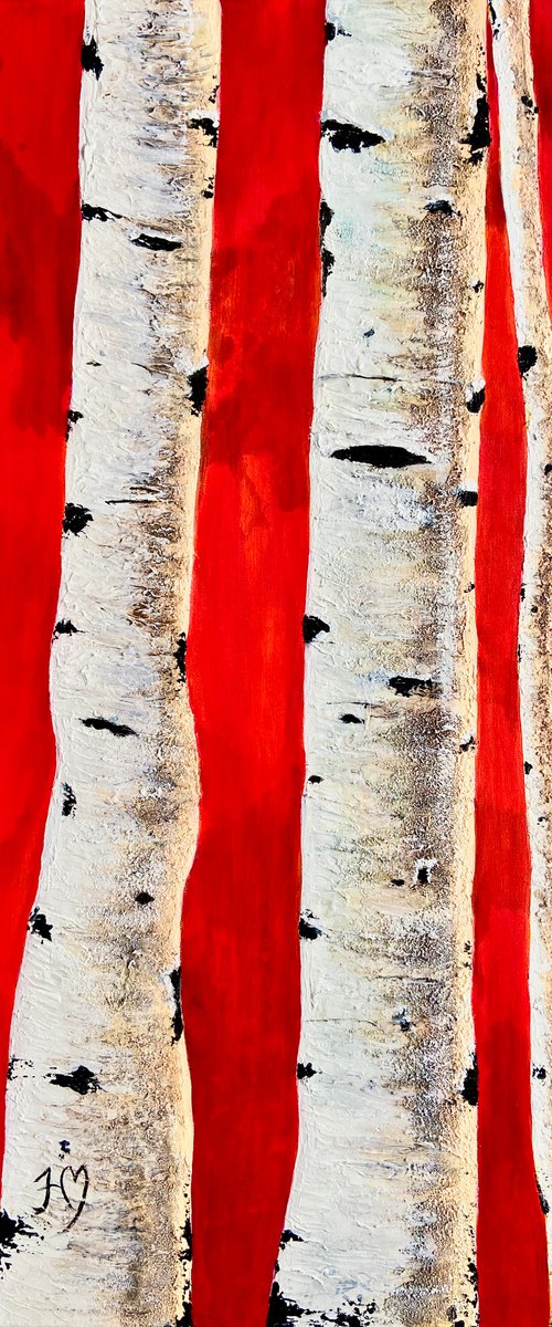 Flaming birch trees by Heather Matthews