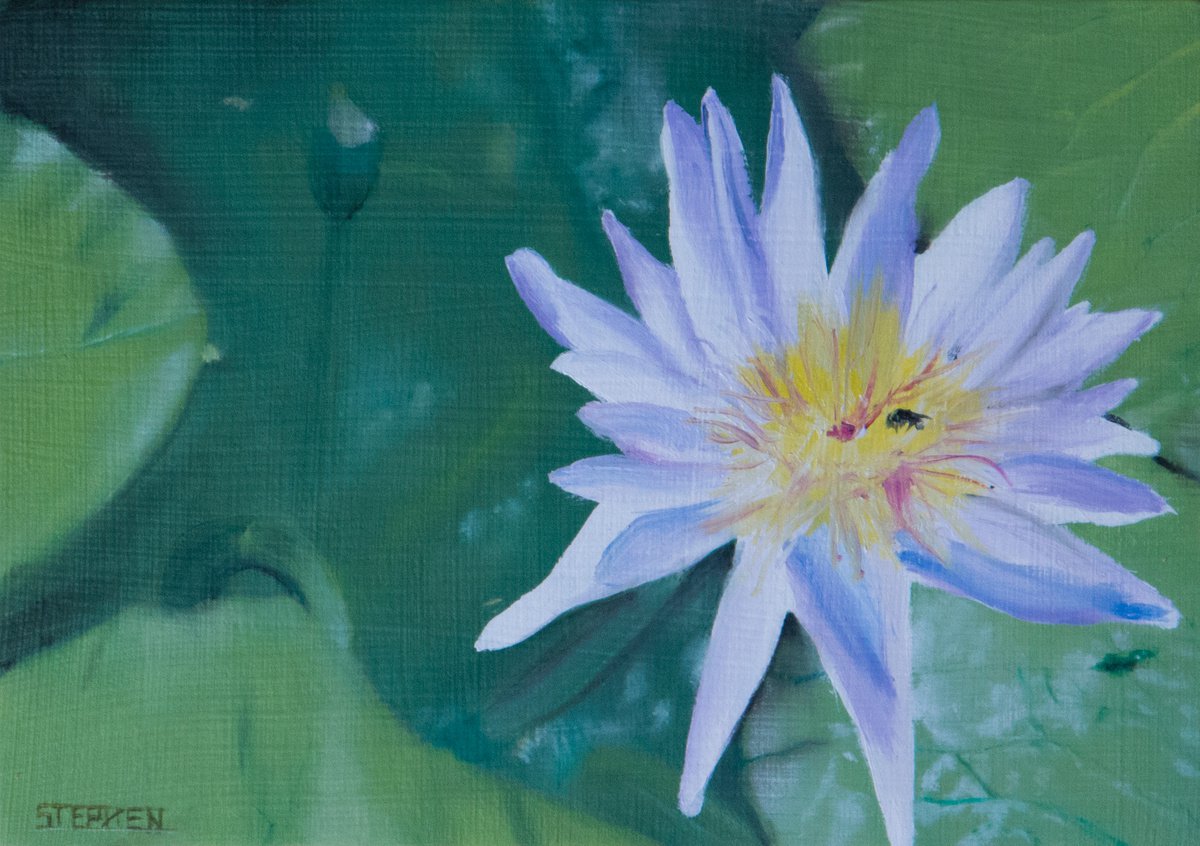 Photorealistic Animal Oil Painting By Steven M. Curtis, 13 X 8", Lilly, Original Artwork