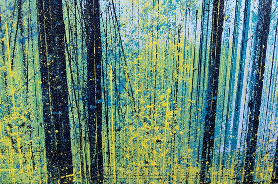 Forest Trees With Yellow Light