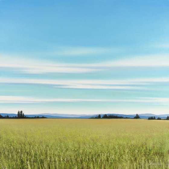 Soft Summer Sky - Blue Sky Landscape