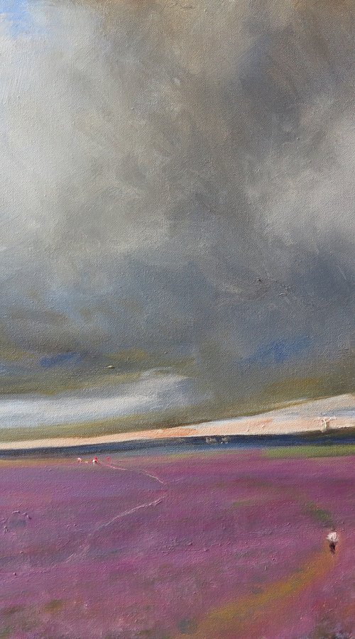 Goathland Heather by Malcolm Ludvigsen