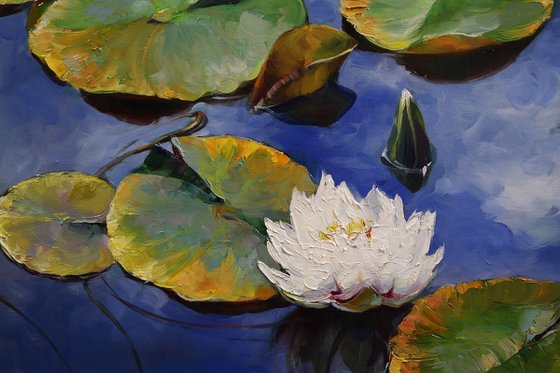 "Summer Morning on the Pond"