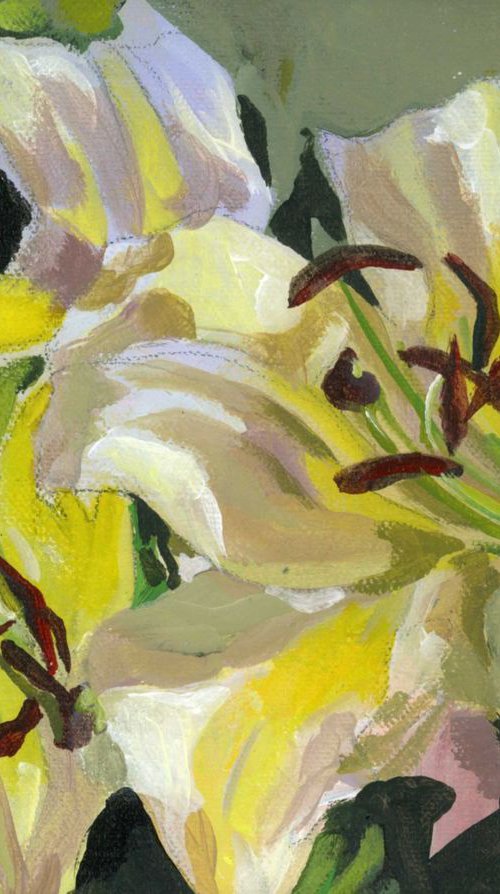 yellow lilies in garden by Alfred  Ng