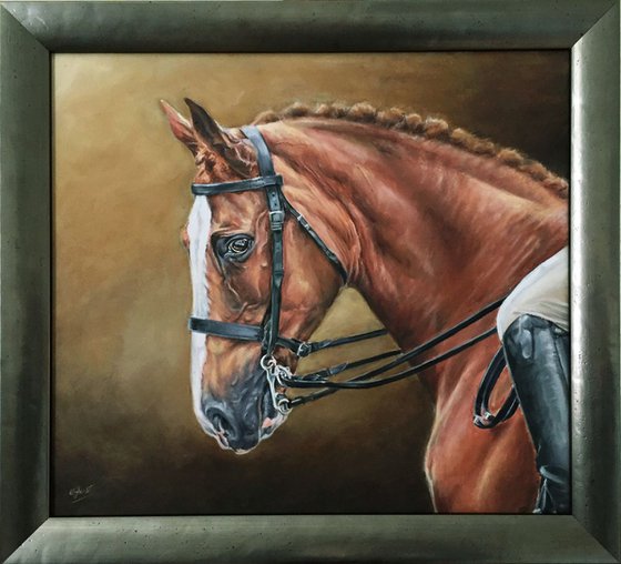 Horse portrait oil painting