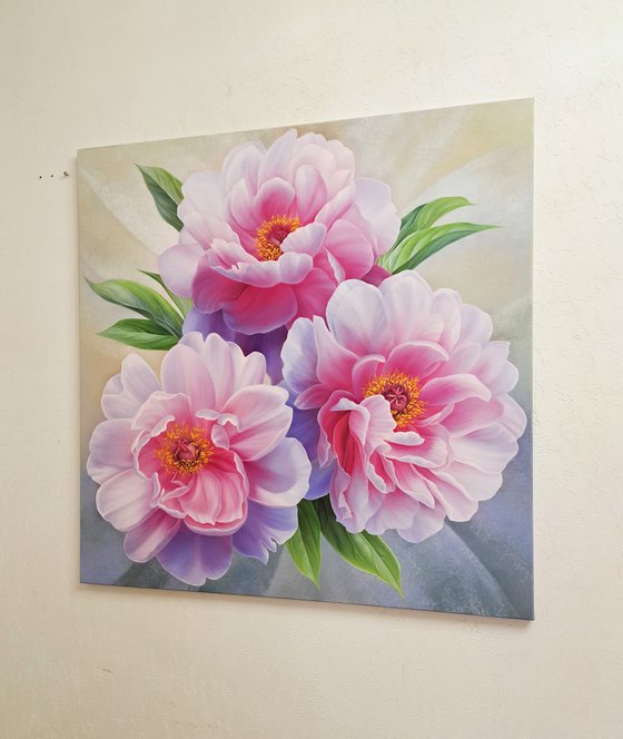 Melody of peonies