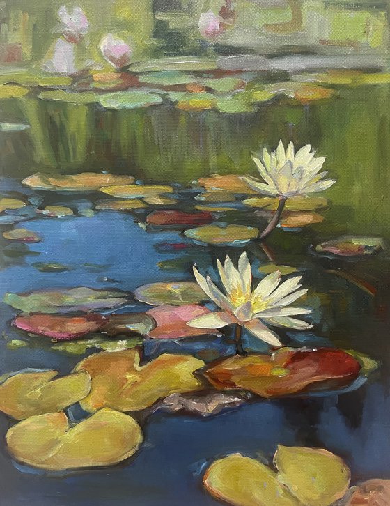 Water lilies