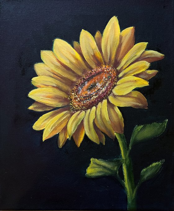 Eternal Sunbeam