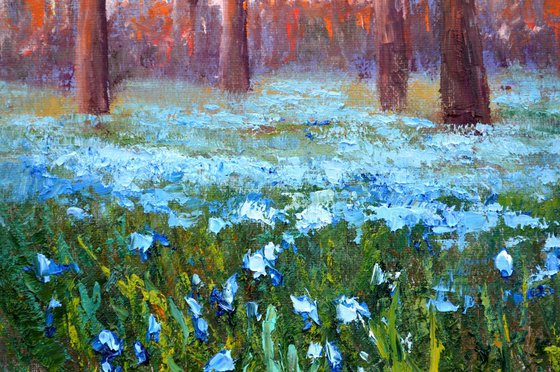 Scilla in the morning park