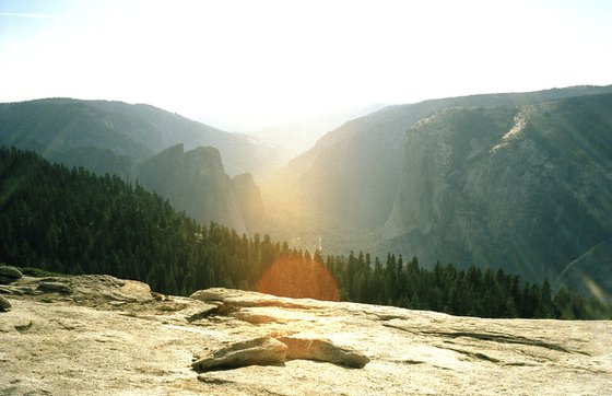 Yosemite sunlight