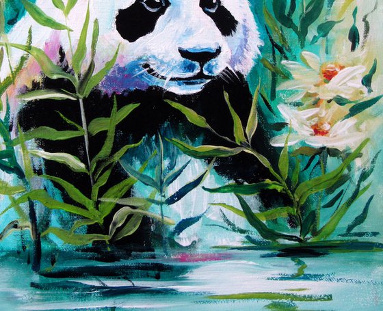 Panda