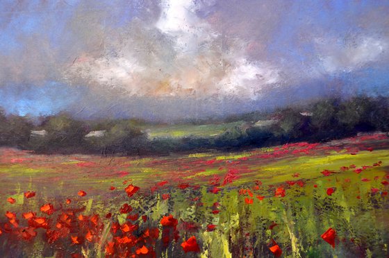 Landscape with poppy field