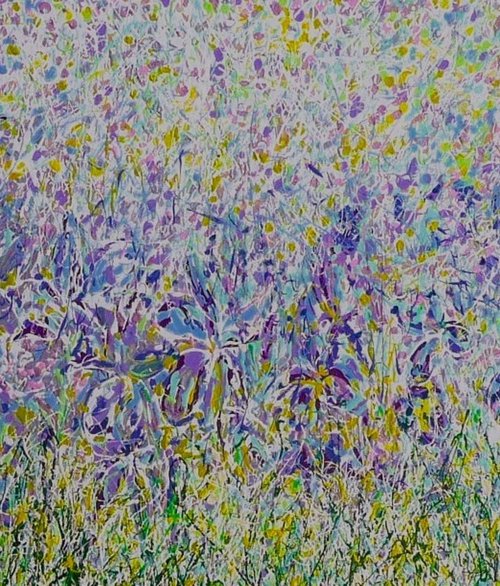 Wild Iris Meadow by Lesley Blackburn