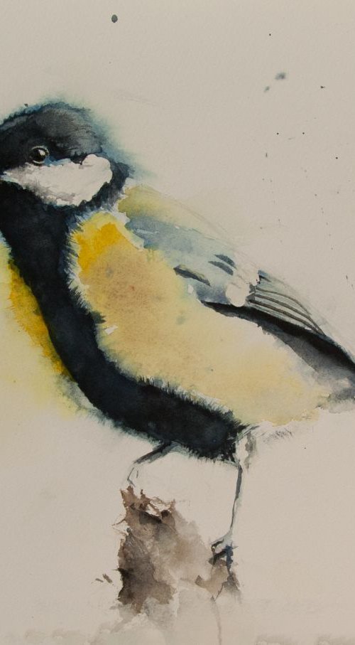 Great Tit by Tomasz Mikutel