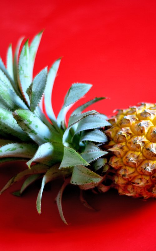 Pineapple on red background by Elena Zapassky