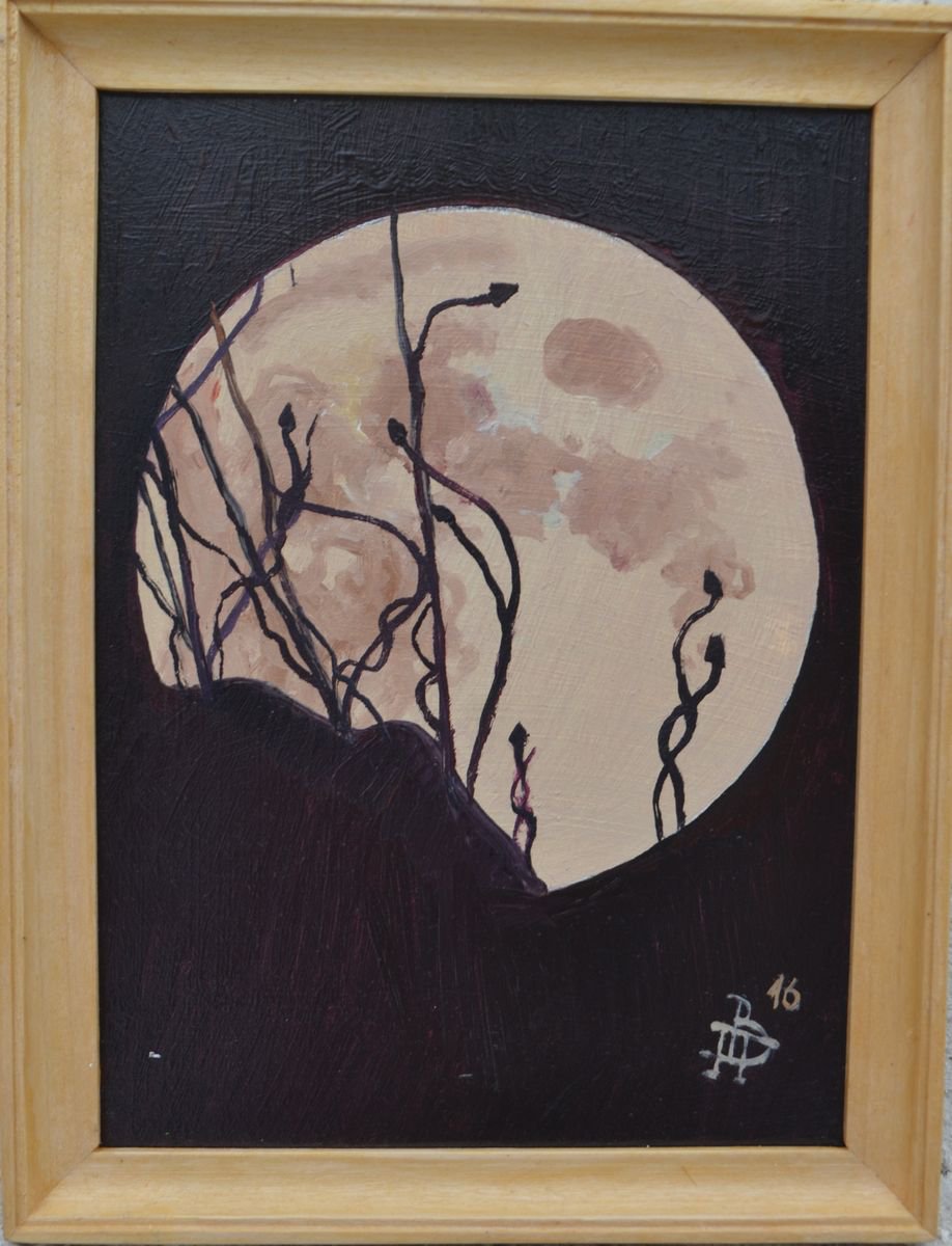 Moon by Vitalii Panasiuk