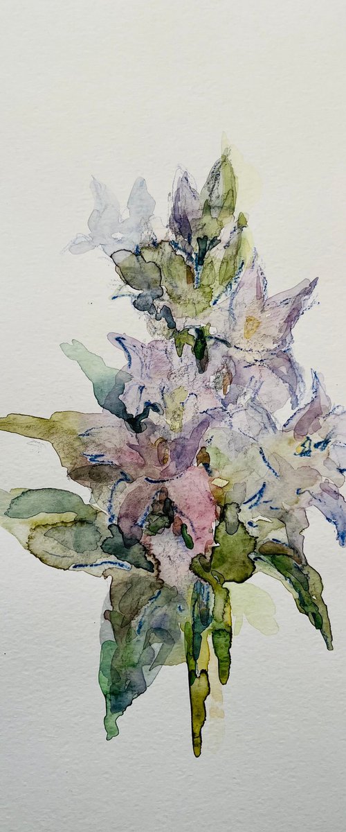 Bouquet of bluebells. Original watercolour painting. by Elena Klyan