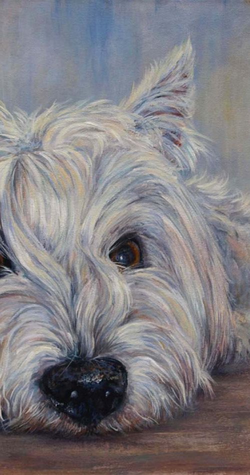 Trixie, Westie by Ruth  Aslett