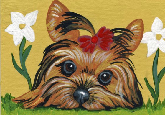 ACEO ATC Original Miniature Painting Yorkshire Terrier Yorkie Pet Dog Art-Carla Smale