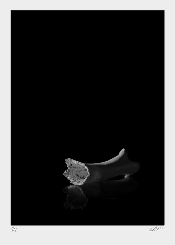 Untitled X