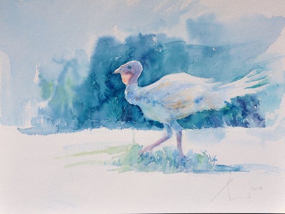 WALKING TURKEY original watercolour