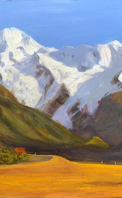 Mount cook by Shelly Du