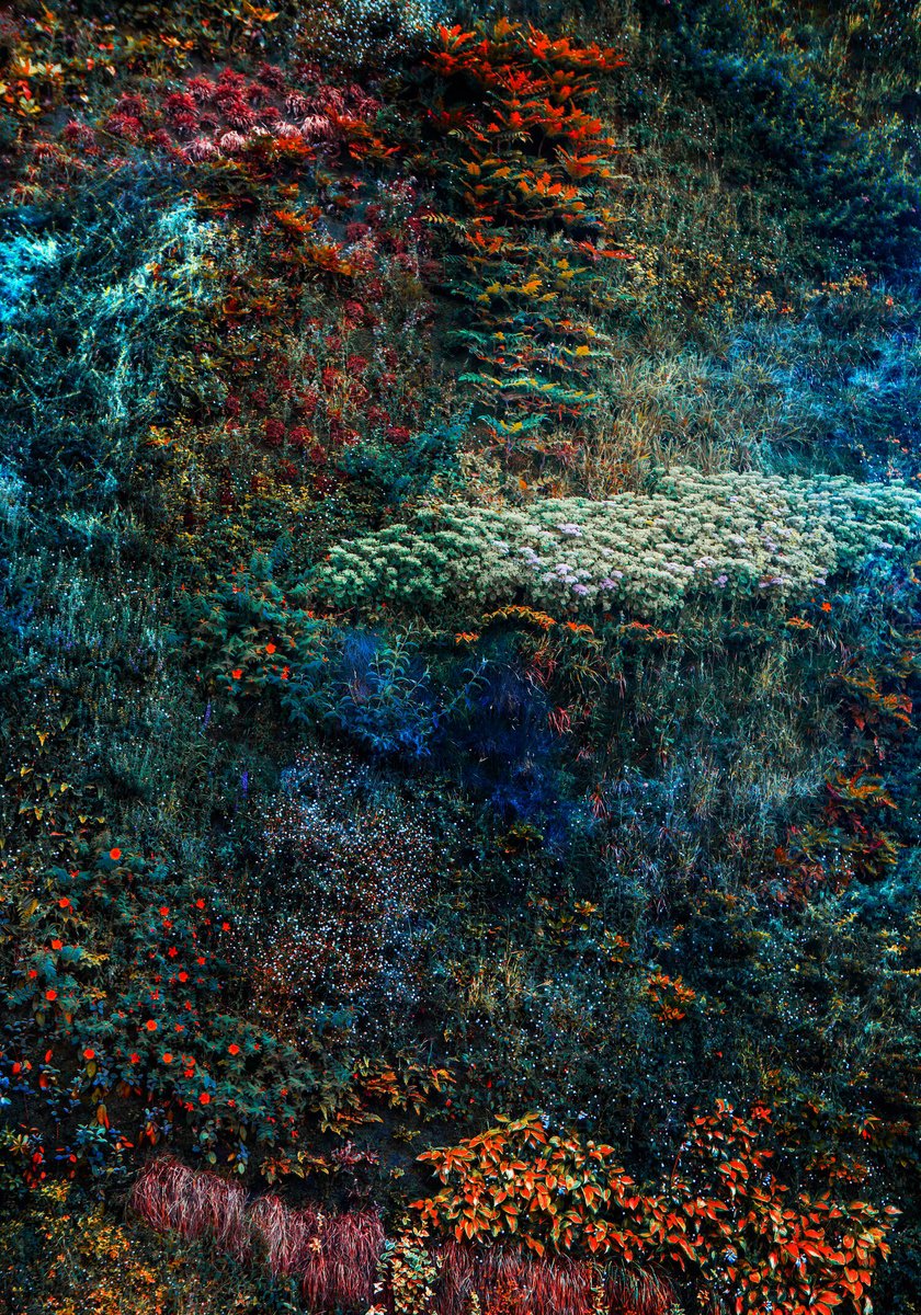 Impressionistic Botanical Photograph By Viet Ha Tran, 24 X 32", Wall Of Nature V (Framed), Original Artwork