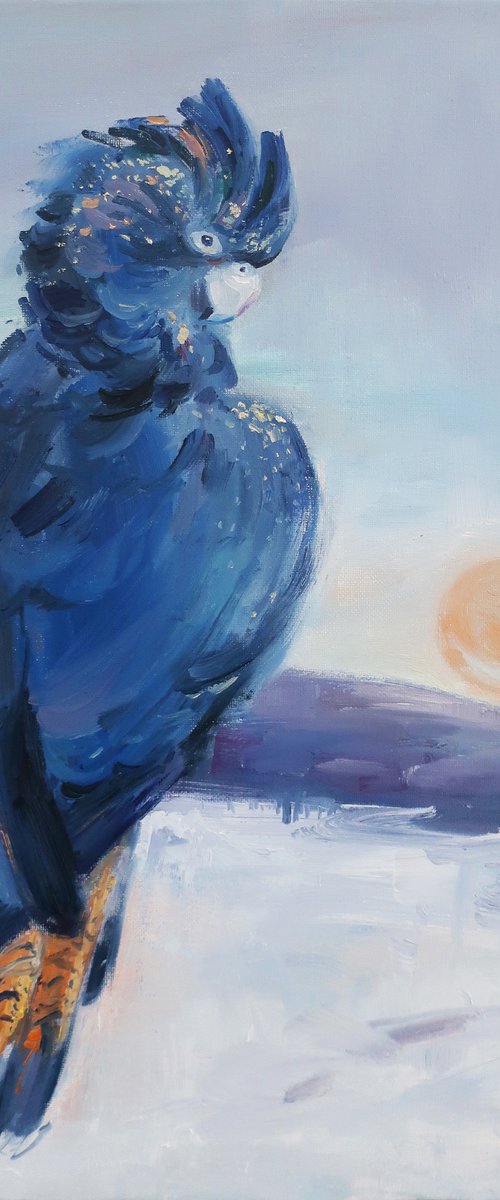 Bird Black or Blue parrot by Anna Shchapova