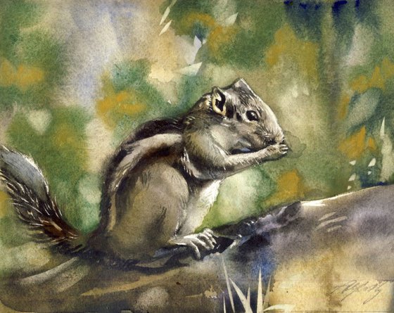 Little chipmunk watercolor