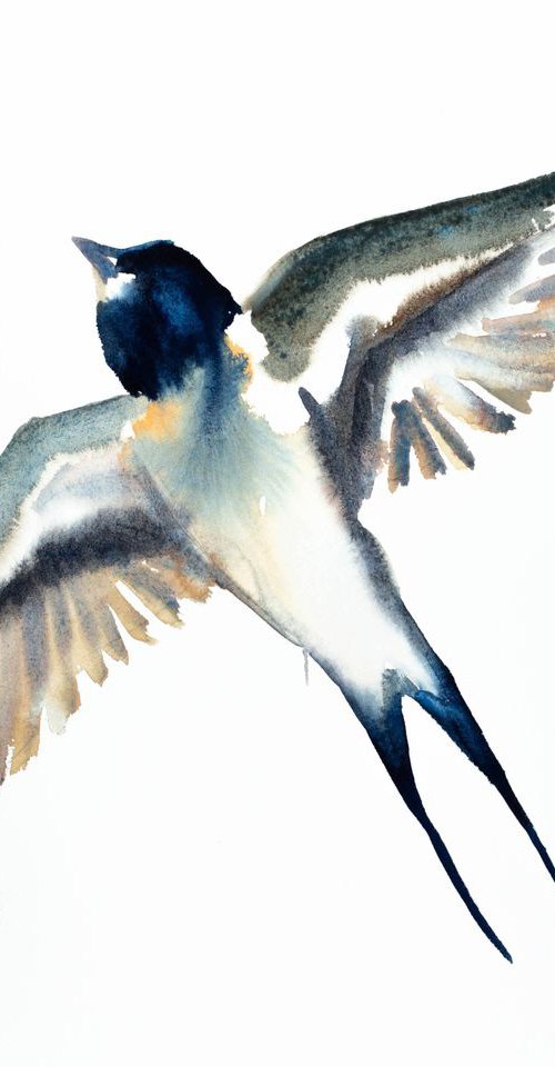 Swallow No. 19 by Elizabeth Becker