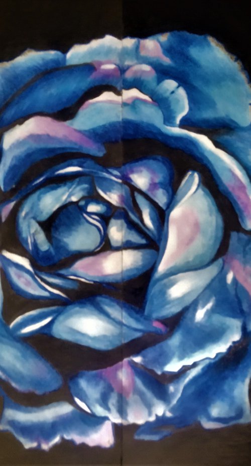 Roses are Blue by Manuchahar Ali