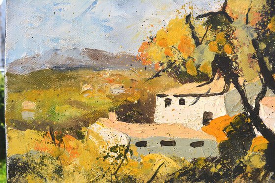 Provence landscape and flowers