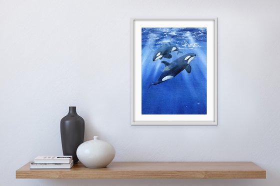 Two killer whales underwater. Original artwork.