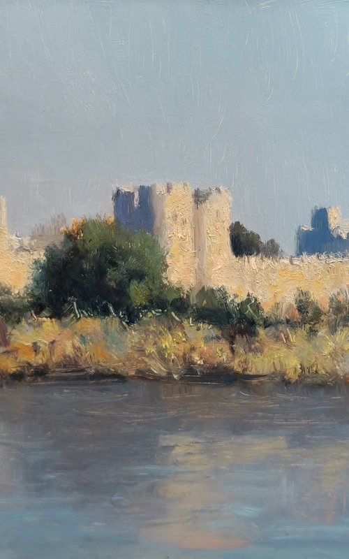 Aigues-Mortes by Pascal Giroud