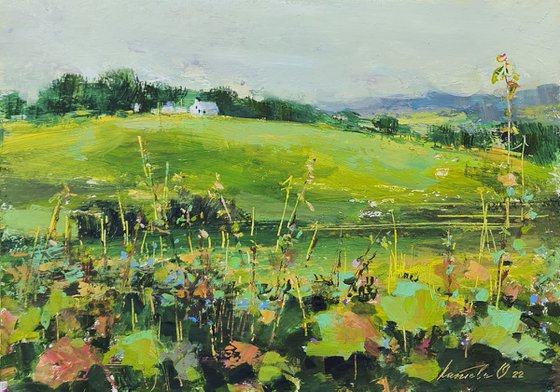 tall flowers on a green field