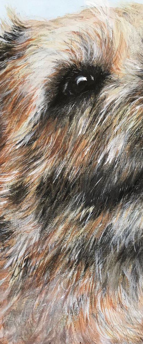Border terrier by Amanda Lakin Art