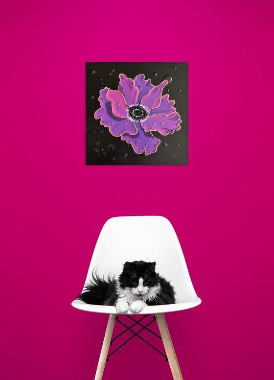 Anemone