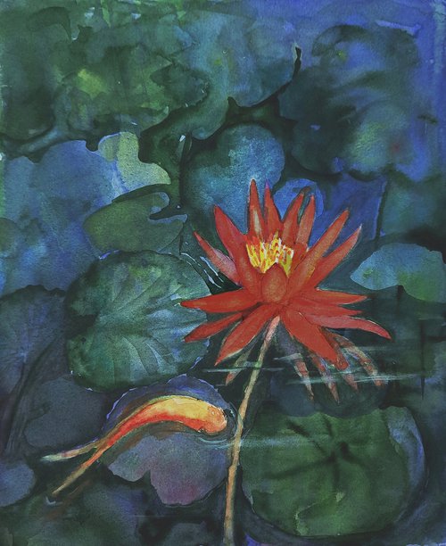 Water lily and Koi pond by Asha Shenoy