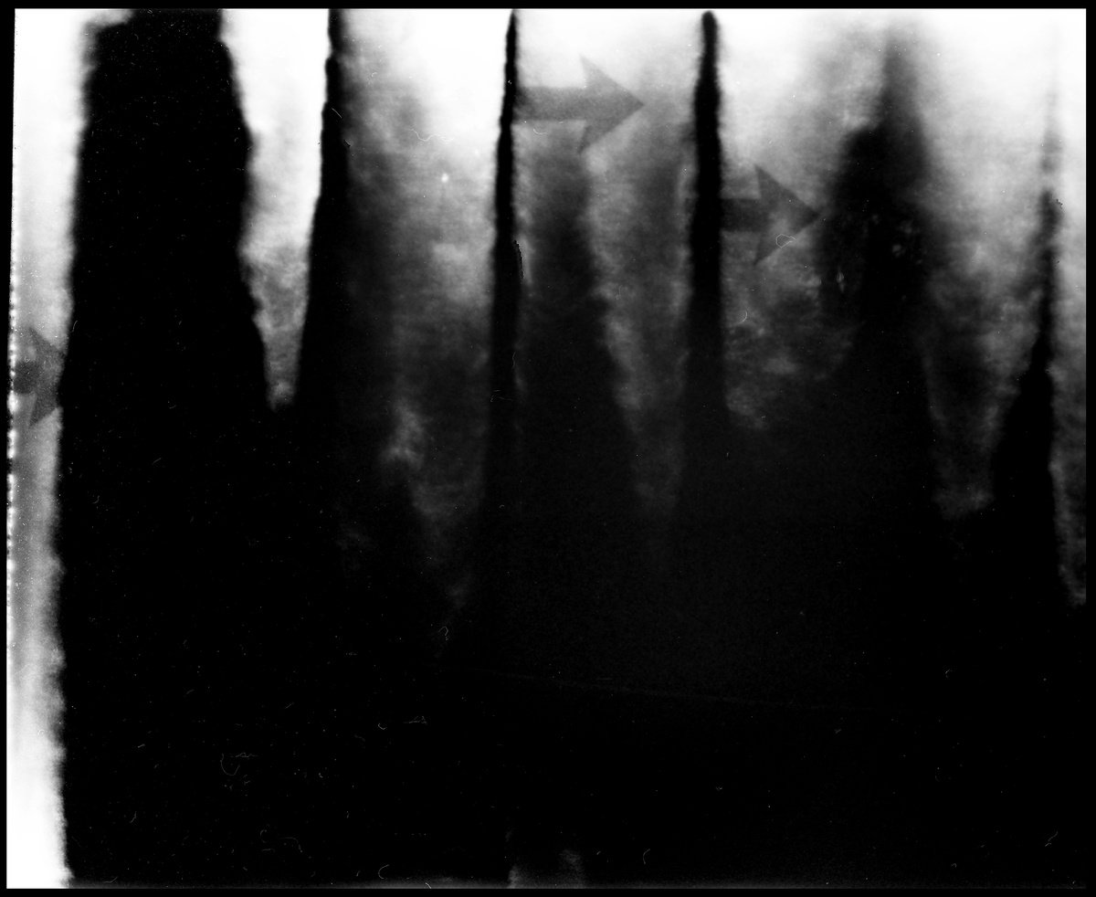 Organic Abstract Photograph By Shelton Walsmith, 44 X 36", Lake Katrine Sequence 2, Original Artwork