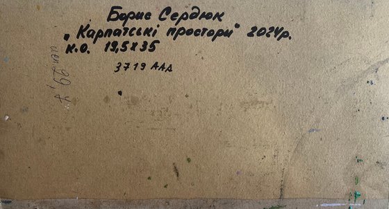 Mountain Winter Expanses