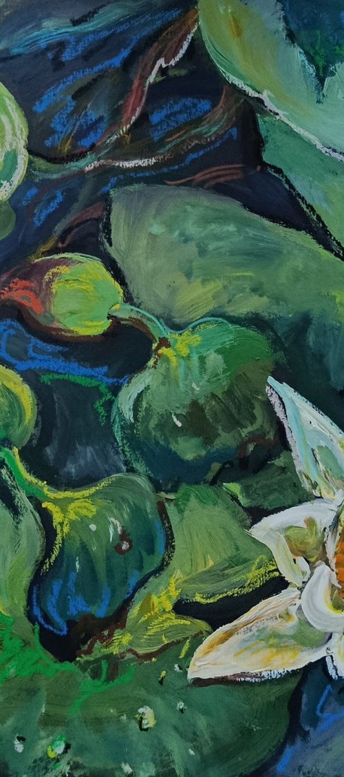 Japanese pond by Tetiana Borys