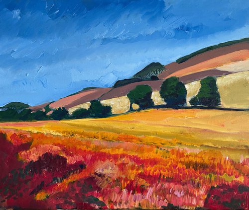 'Hillside in Sunshine, Fife' by Stephen Howard Harrison