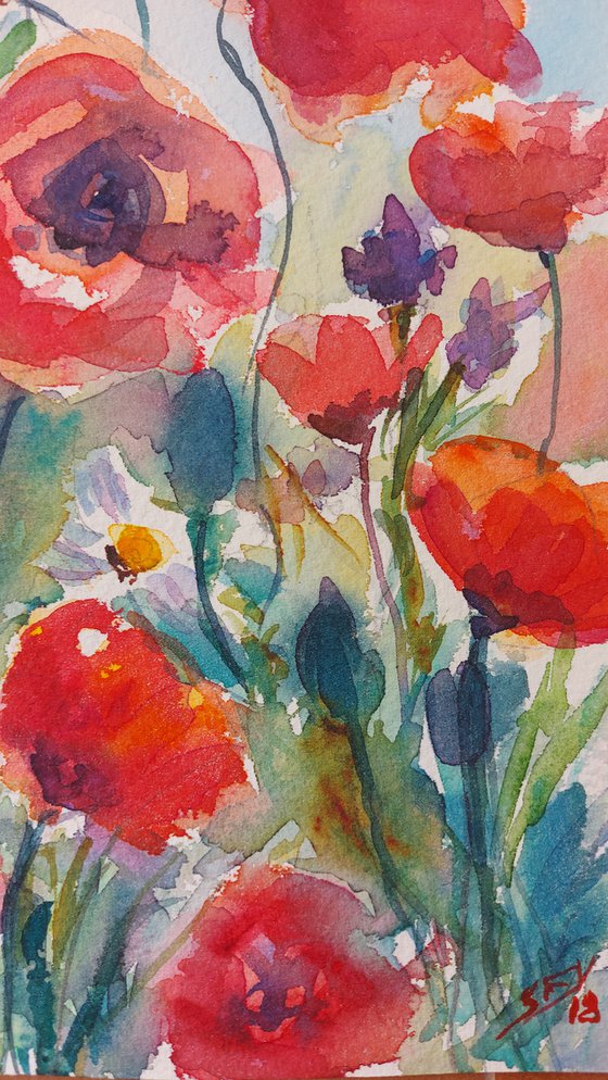 Daisies and poppies