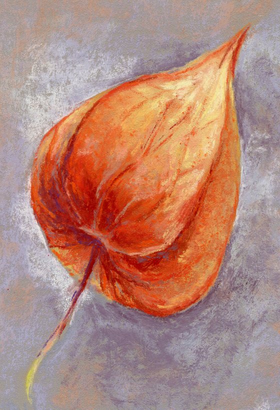 Soft pastel drawing of Physalis